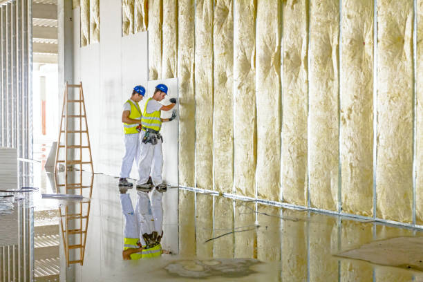 Best Geographic-Specific Insulation Services in Benton Heights, MI